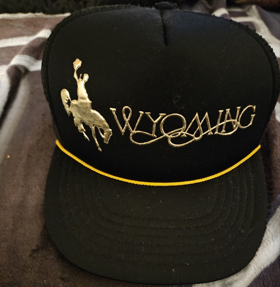 Vintage Wyoming Golden Cowboy Snapback Trucker Hat Black & Gold Mesh Rop…